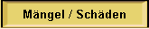 Mngel / Schden