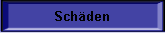 Schden
