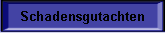 Schadensgutachten